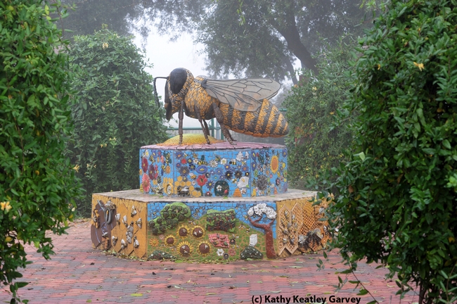 Fog shrouds the bee sculpture in the Haagen-Dazs Honey Bee Haven. It is the work of Donna Billick of Davis. (Photo by Kathy Keatley Garvey)