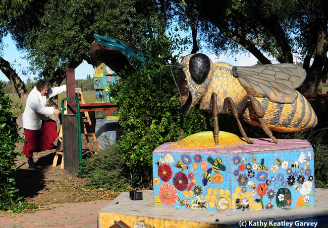 Entomologist/artist Diane Ullman uncovers a pillar. In the foreground, a bee sculpture created by colleague Donna Billick. (Photo by Kathy Keatley Garvey)