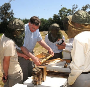 Eric Mussen introduces visitors to bees at the Harry H. Laidlaw Jr. Honey Bee Research Facility. (Photo by Kathy Keatley Garvey)