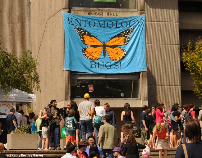Briggs Hall is a popular place to be on UC Davis Picnic Day. (Photo by Kathy Keatley Garvey)