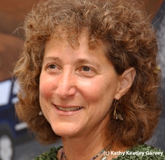 Diane Ullman, entomologist and artist