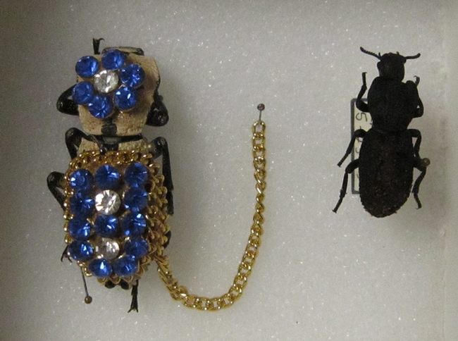 This  bedazzled beetle was worn as a living brooch and originated from Mexico.