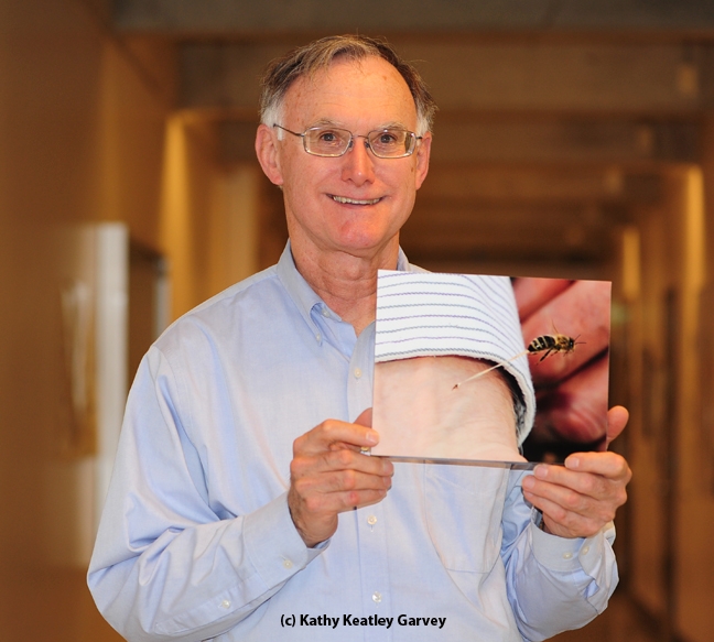 Eric Mussen and the famous bee sting photo showing a bee stinging his wrist. This mounted photo will be auctioned off at the California State Beekeepers' Association conference. (Photo by Kathy Keatley Garvey)