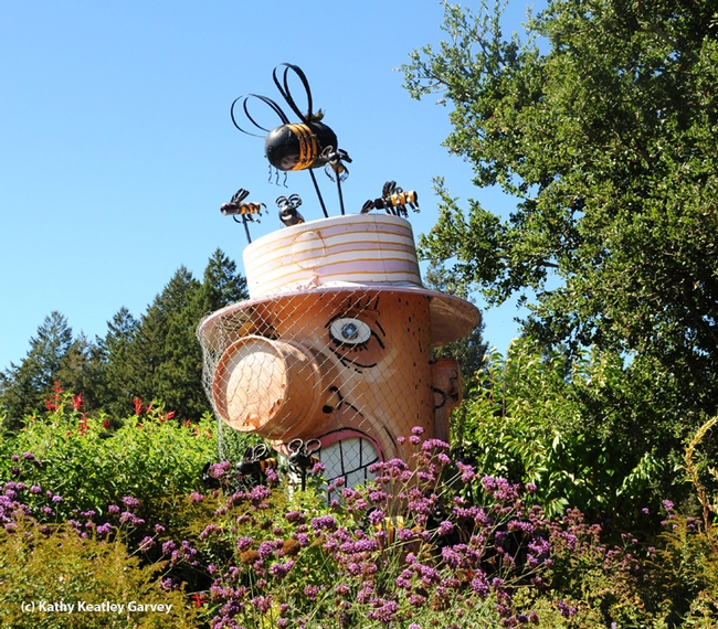 A sculpture of Bernard the Beekeeper graces the entrance to Melissa's Garden, Healdsburg. (Photo by Kathy Keatley Garvey)