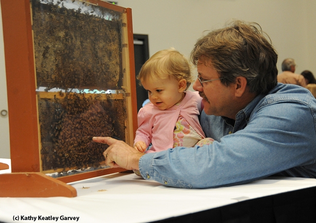 Brian Fishback shows his daughter, Emily, a bee observation hive. (Photo by Kathy Keatley Garvey)