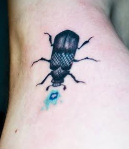 Megan Hutchison's arm tattoo of a dermestid beetle.