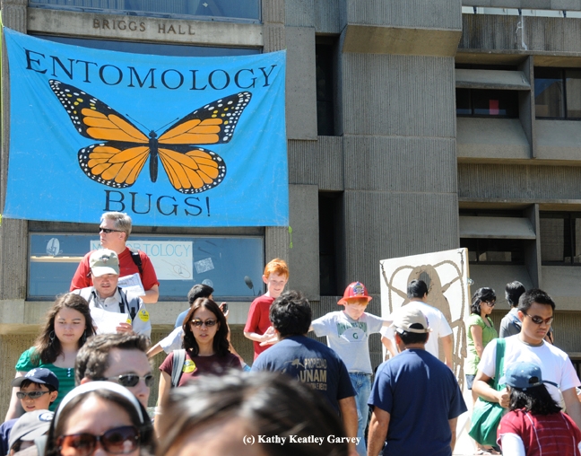 Briggs Hall beckons with bugs on UC Davis Picnic Day. (Photo by Kathy Keatley Garvey)