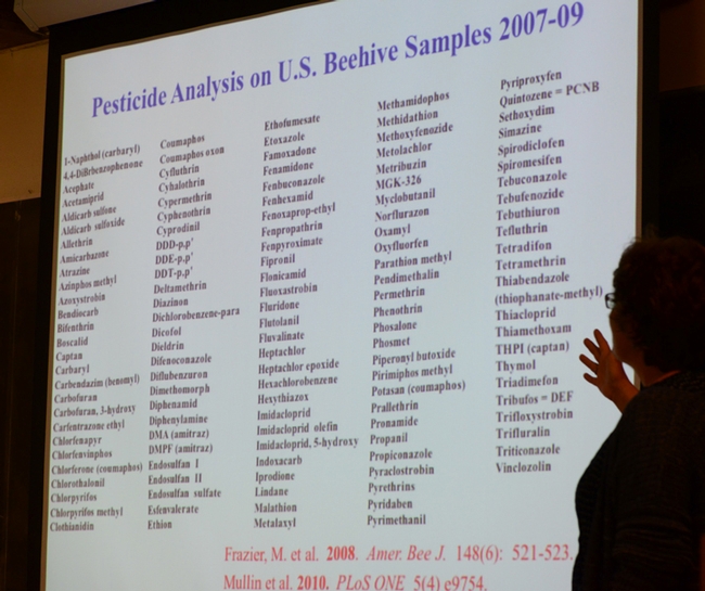 Maryann Frazier with the list of 171 pesticides screened in the U.S. survey. (Photo by Kathy Keatley Garvey)