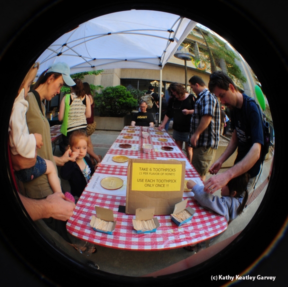 Fish-eye view of the honey tasting at Briggs Hall during the UC Davis Picnic Day. (Photo by Kathy Keatley Garvey)