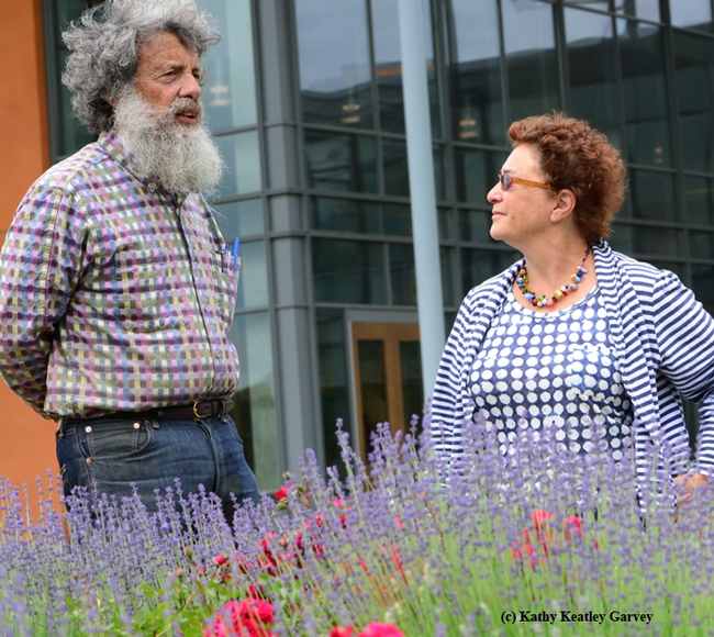 Butterfly expert Art Shapiro, distinguished professor of evolution and ecology at UC Davis, talks pollinators with Amina Harris, director of the Honey and Pollination Center. (Photo by Kathy Keatley Garvey)