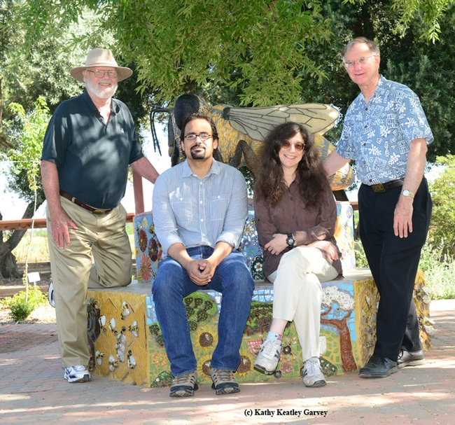 The Bee Team: In front are bee scientist Brian Johnson of UC Davis and May Berenbaum, professor and head of Department of Entomology at the University of Illinois at Urbana-Champaign. In back are native pollinator specialist Robbin Thorp, emeritus professor of entomology, and Extension apiculturist Eric Mussen of UC Davis. The sculpture is by Davis artist Donna Billick. (Photo by Kathy Keatley Garvey)