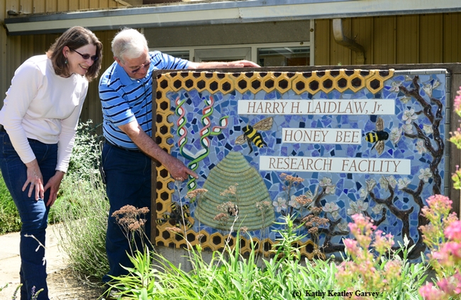 Norm Gary shows Barbara Allen-Diaz the sign in front of the Harry H. Laidlaw Jr. Honey Bee Research Facility. It is the work of Davis artist Donna Billick. (Photo by Kathy Keatley Garvey)