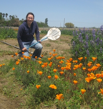 Katharina Ullmann in a pollinator patch. (Photo by Neal Williams)