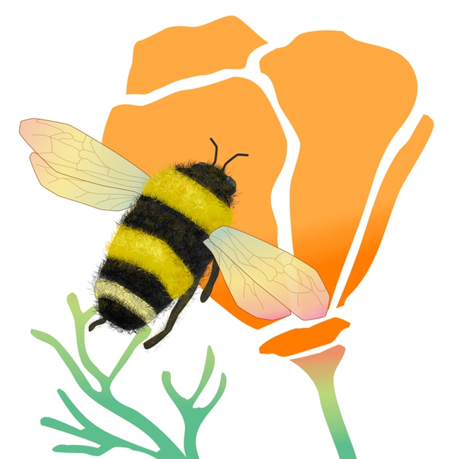 This is the app icon. It's of the yellow-faced bumble bee, Bombus vosnesenskii, heading toward a California poppy.