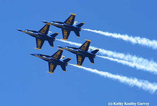 Blue Angels maneuvering their Hornets into a diamond formation. (Photo by Kathy Keatley Garvey)