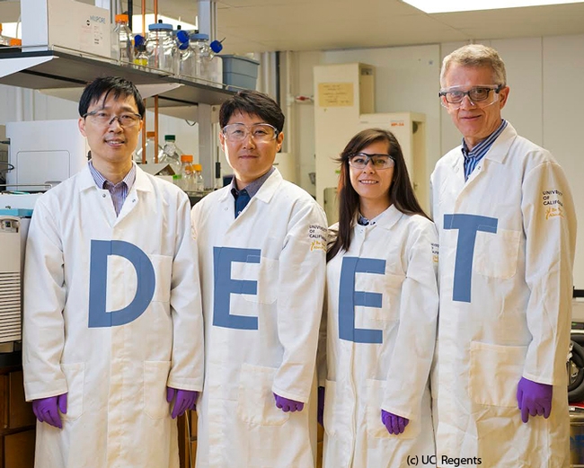 UC Davis scientists in the Walter Leal lab have discovered the odorant receptor in the Culex mosquito that repels DEET. From left are project scientist Pingxi Xu;  postdoctoral scholar Young-Moo Choo; AgChem graduate student Alyssa De La Rosa; and Professor Leal. (Photo credit: Academic Technology Services/Mediaworks)