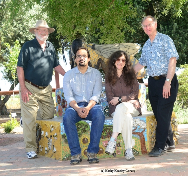 Noted entomologist May Berenbaum lectured May 20 at UC Davis on disappearing bees and then visited the Department of Entomology and Nematology's bee garden. With her (from left) are UC Davis bee authorities Robbin Thorp, Brian Johnson and Eric Mussen. (Photo by Kathy Keatley Garvey)