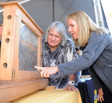 Beekeepers Claudia Parrish (left) and Wendy Mather observe the bees. (Photo by Kathy Keatley Garvey)