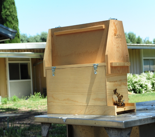 This bee observation hive, named 
