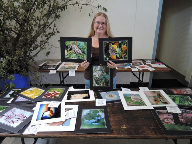 Dixon May Fair Youth Building superintendent Sharon Payne with some of the insect photographs taken by youth exhibitors. (Photo by Kathy Keatley Garvey)