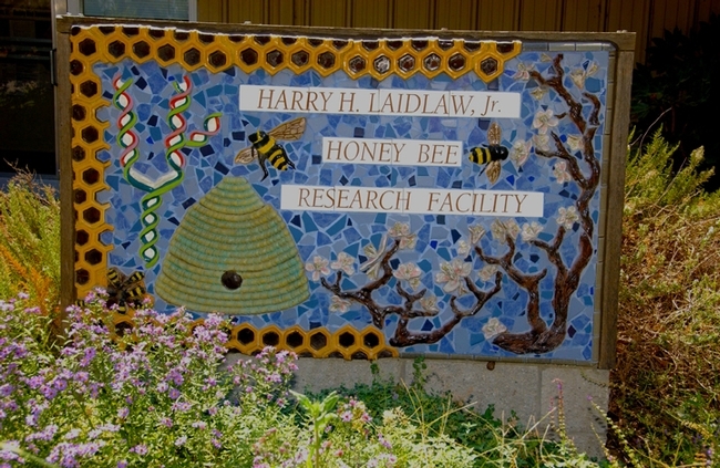 The sign that fronts the Harry H. Laidlaw Jr. Honey Bee Research Facility is the mosaic-ceramic work of Davis artist Donna Billick. (Photo by Kathy Keatley Garvey)