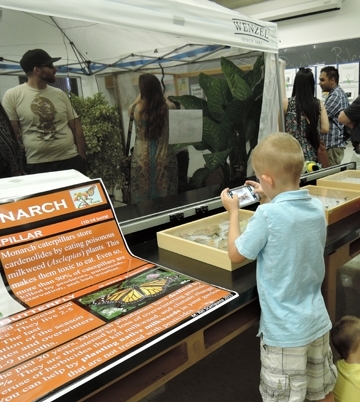 There were plenty of cameras aiming at the Pollinator Pavilion display during UC Davis Picnic Day. (Photo by Kathy Keatley Garvey)