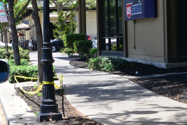 People make deposits in this bank, but sunflower bees are making deposits near the bank (left, in the wood chip mulch, circled here by yellow caution tape). (Photo by Kathy Keatley Garvey)