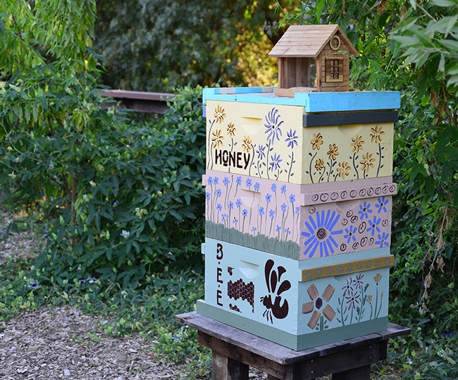 A viable bee hive is a new addition in the bee garden, which was planted in the fall of 2009.(Photo by Kathy Keatley Garvey)