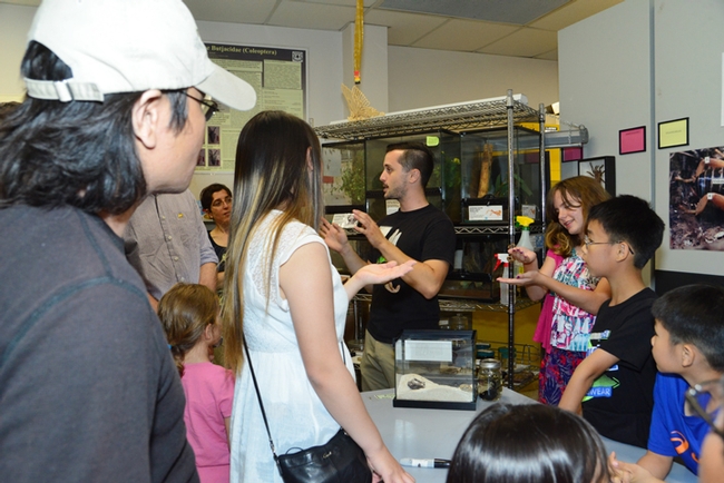 Enthusiastic about all arthropods, UC Davis entomology undergraduate student Wade Spencer (center, in black shirt) draws a crowd at a recent Bohart Museum of Entomology open house. (Photo by Kathy Keatley Garvey)