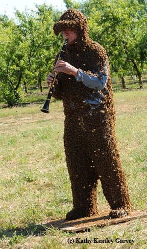 Norm Gary playing the clarinet while he is covered with bees. (Photo by Kathy Keatley Garvey)