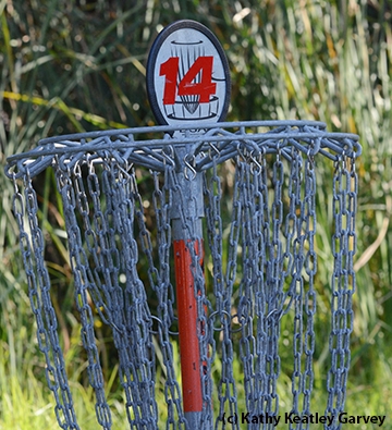 The 14th hole of the golf disc course is where the monarchs chose to be. (Photo by Kathy Keatley Garvey)