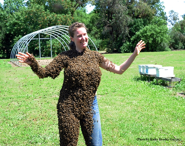 Bee-covered Elizabeth Frost in a lighter moment at the Harry H. Laidlaw Jr. Honey Bee Research Facility. (Photo by Kathy Keatley Garvey)