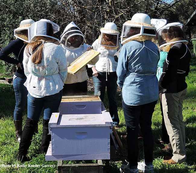 Extension apiculturist Elina Niño opens a hive at the Feb. 13th class. (Photo by Kathy Keatley Garvey)