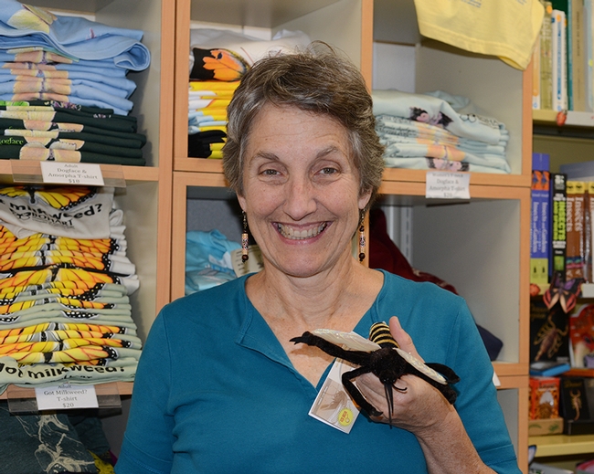 Lynn Kimsey, director of the Bohart Museum of Entomology, with an educational stuffed toy animal, a Culex pipiens. (Photo by Kathy Keatley Garvey)