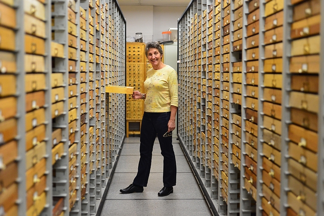 Entomologist Lynn Kimsey, director of the Bohart Museum of Entomology, with some of museum specimens--drawers and drawers of them. (Photo by Kathy Keatley Garvey)
