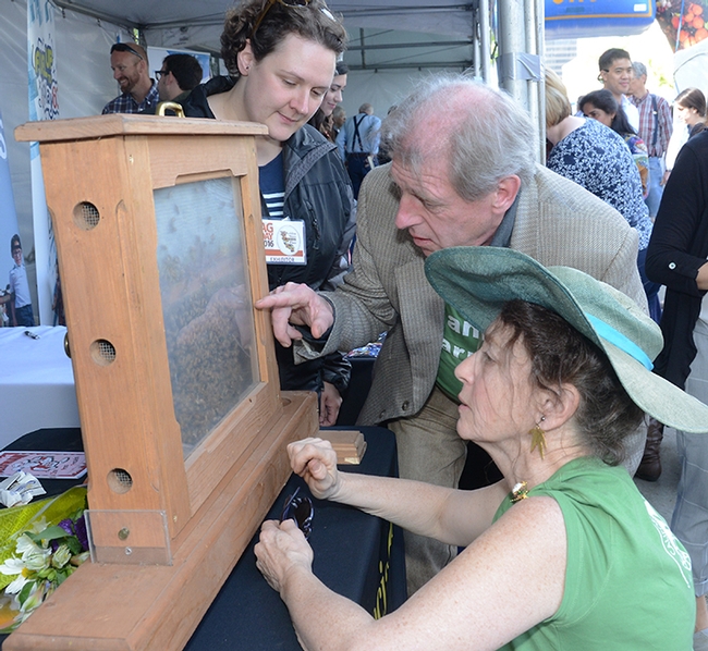 Beekeepers Paul Hansbury and his wife, Susan (kneeling) of Laytonville, Mendocino County, Calif. look at the bees with Extension apiculturist Elina Niño. The Hansburys, wearing 