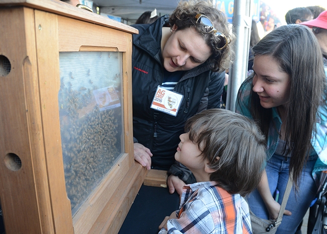 Four-year-old Michael Ramos-Rivera of Elk Grove gets his first close-up look at bees. With him are Extension apiculturist Elina Niño (far left) and his mother, Sharill Rivera. (Photo by Kathy Keatley Garvey)