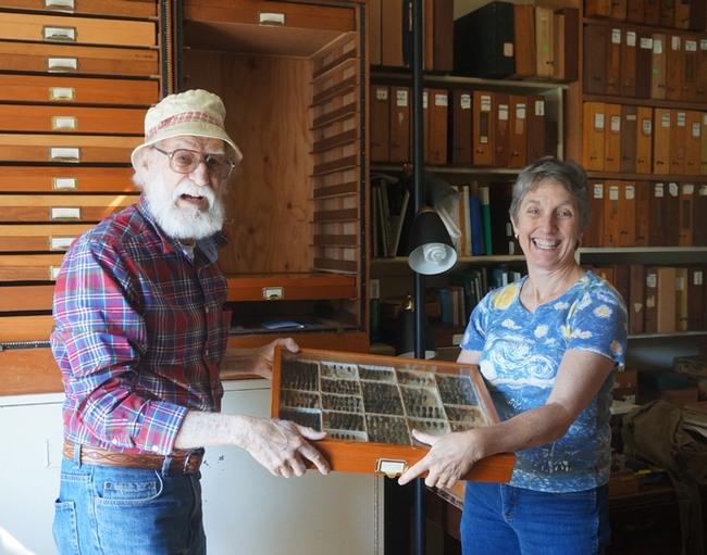 David Verity of Los Angeles gifting his collection of buprestid jewel beetles to Bohart Museum director Lynn Kimsey.