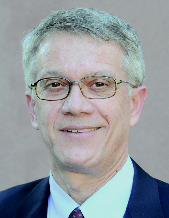 Professor Walter Leal, coordinator