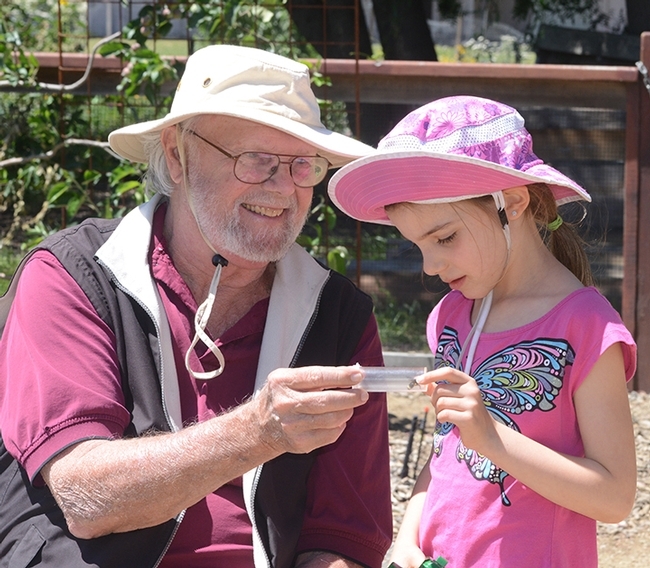 Native pollinator specialist Robbin Thorp, distinguished emeritus professor of entomology, shows a bee to haven visitor Lalibella Eaves, 6, of Quebec City, Canada. Her mother,  Valerie Fournier, received her doctorate in entomology from UC Davis in 2003 and is now a professor at Laval University, Quebec City. (Photo by Kathy Keatley Garvey)