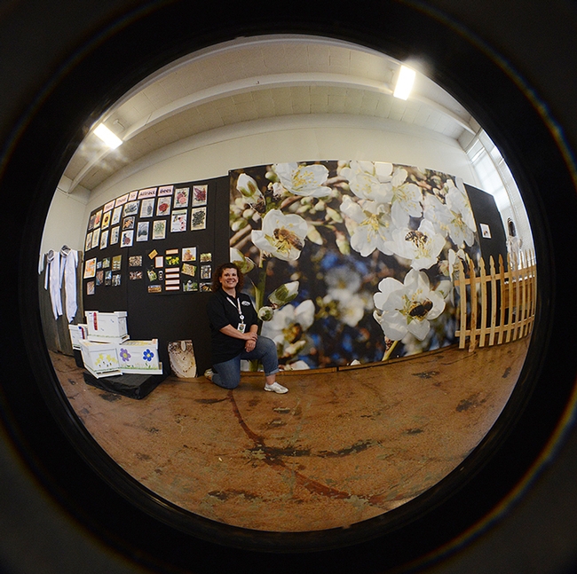 Fisheye view of the honey bee display at Madden Hall, Dixon May Fair. In front is Cammie Garton, fair employee. (Photo by Kathy Keatley Garvey)