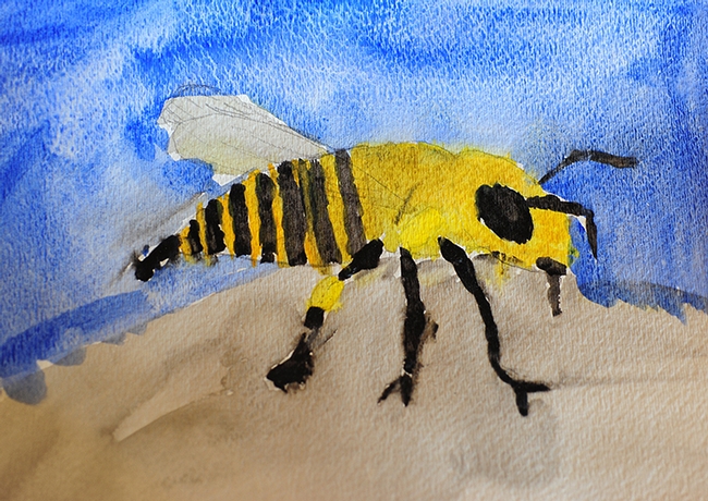 Have you ever seen a honey bee on a rock? You have now! This painting is the work of Andrew Donato of Vallejo, entered in the 9-10 age category. (Photo by Kathy Keatley Garvey)
