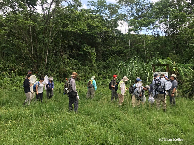 The Bohart Museum crew participates on its first hike in Belize, led by Dave Wyatt and Fran Keller. (Photo by Fran Keller)