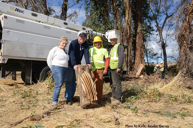 Showcasing the collapsed feral honey bee colony are (from left) Karen Cometta Shepard of Vacaville; Robert Arndt of the Nut Tree Airport; and Jose Garcia and Dennis Stark of the Atlas Tree and Landscape Company. (Photo by Kathy Keatley Garvey)