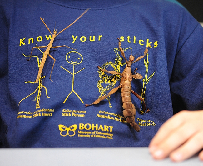 Matching pairs of (walking) sticks on Ty Elowe's t-shirt. (Photo by Kathy Keatley Garvey)