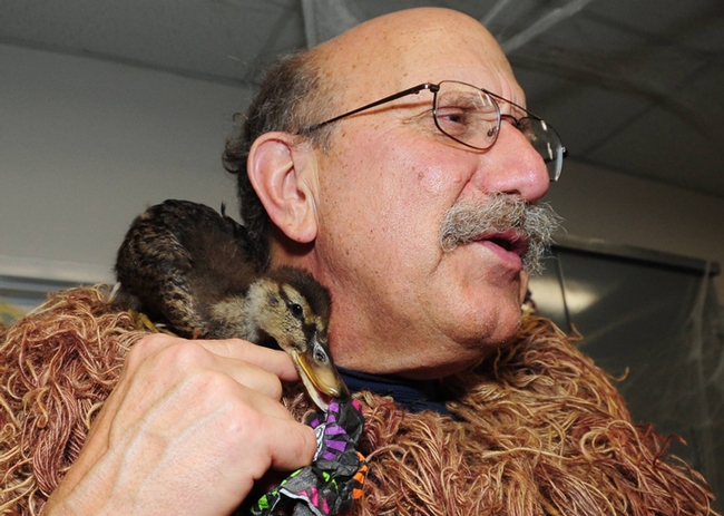 Forensic entomologist Robert Kimsey in his ghillie suit with his newfound friend, Quack. (Photo by Kathy Keatley Garvey)