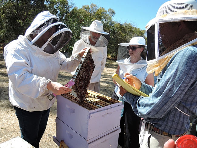 Extension apiculturist Elina Niño (left) with participants in a beekeeping course at UC Davis. (Photo by Kathy Keatley Garvey)
