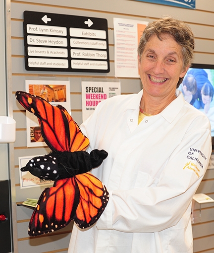 Lynn Kimsey, director of the Bohart Museum and professor of entomology at UC Davis, holds a monarch puppet. (Photo by Kathy Keatley Garvey)
