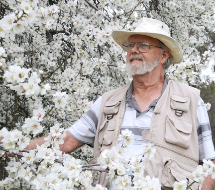 Robbin Thorp, distinguished emeritus professor of entomology, in front of almond tree on Bee Biology Road, UC Davis. (Photo by Kathy Keatley Garvey)