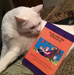 Editor Debra DeAngelo's cat checks out the Ipinion Syndicate book. (Photo provided by Debra DeAngelo)